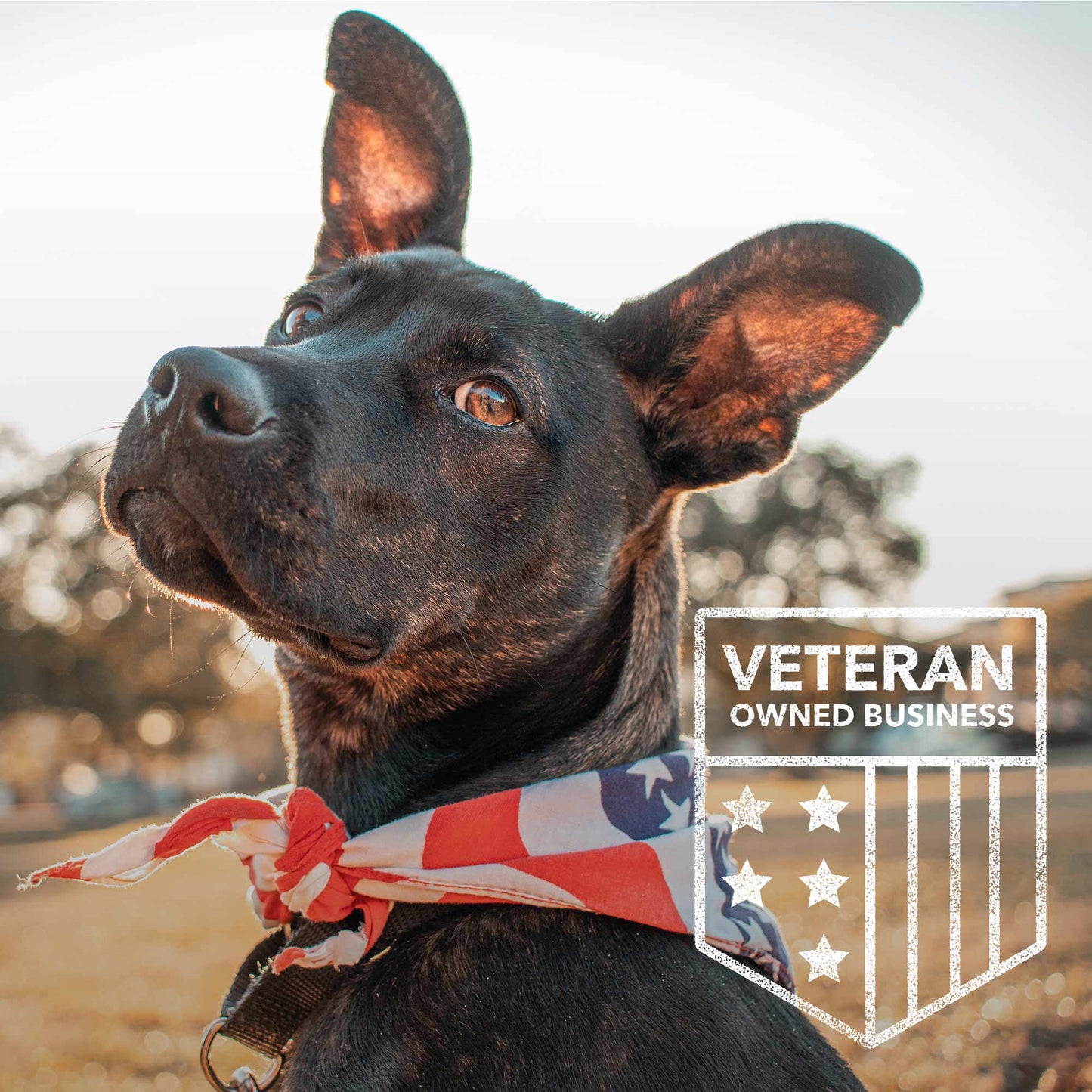 Dogs & Freedom Flag Premium Tee Military Green