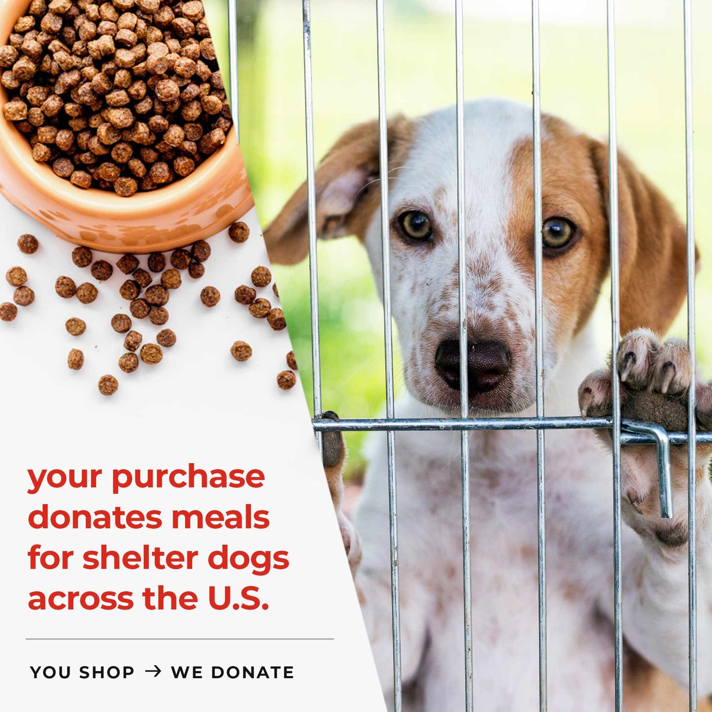 Ride Or Die Premium Tee Black